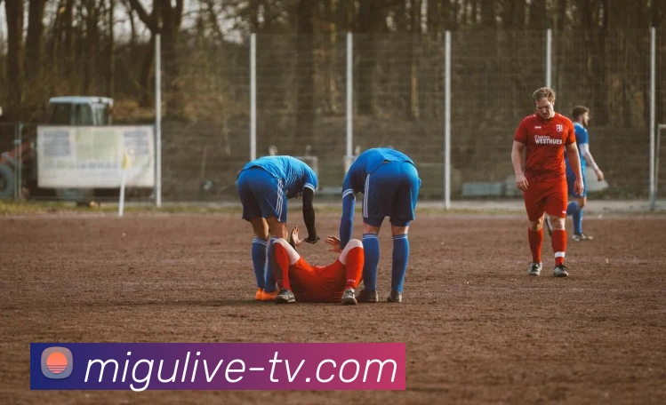 咪咕体育直播平台生态图